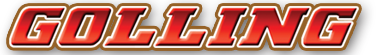 Golling Auto Group - Michigan